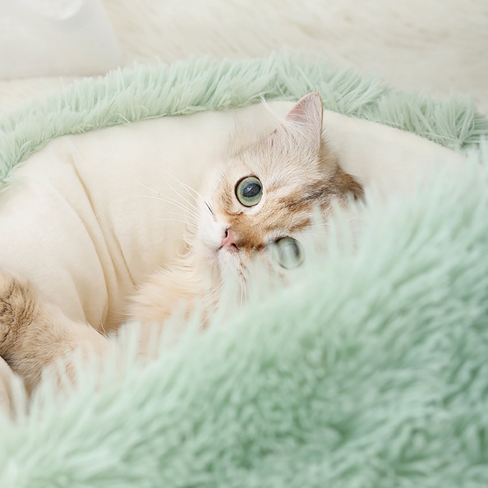 VANLOFE Pet Beds Under 10 Cat House Dog Round Cat Winter Warm Sleeping Bag Long Plush Soft Pet Bed Calming Bed