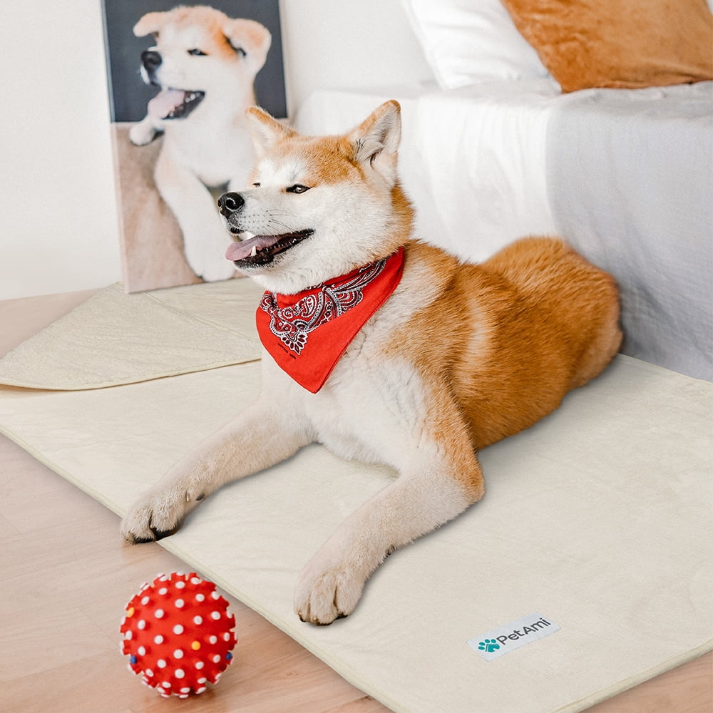 PetAmi Waterproof Dog Blanket For Small Medium Dogs, Pee Proof Pet Blanket Sherpa Fleece Couch Cover, Reversible Cat Throw Bed Sofa Protector, Soft Plush Washable Pad (Medium 29x40, Beige)
