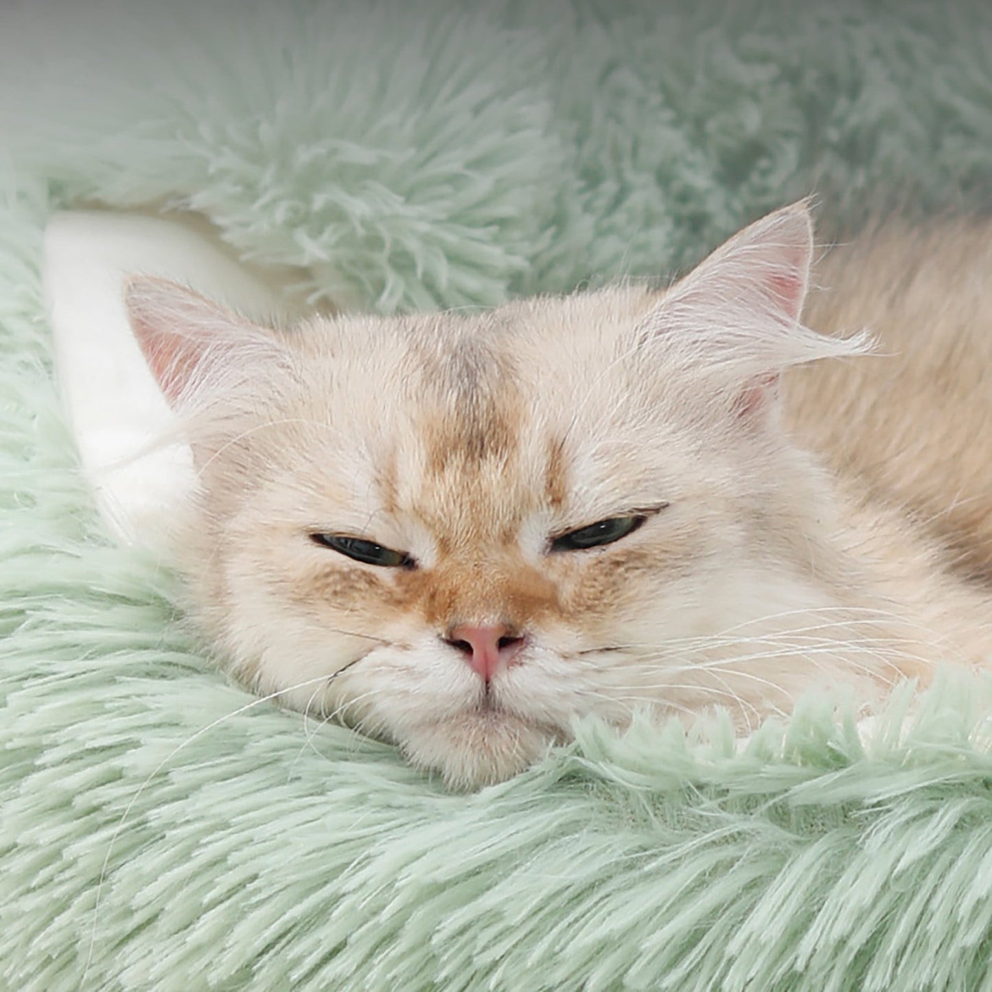 VANLOFE Pet Beds Under 10 Cat House Dog Round Cat Winter Warm Sleeping Bag Long Plush Soft Pet Bed Calming Bed
