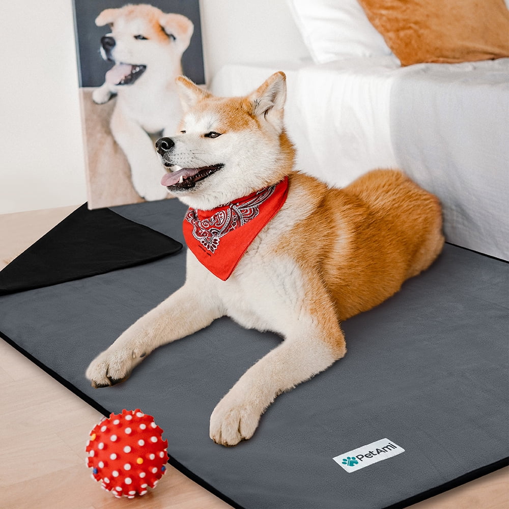 PetAmi Waterproof Dog Blanket For Small Medium Dog, Pet Puppy Blanket Couch Cover Protection, Fleece Cat Washable Throw, Couch Sofa Furniture Protector, Reversible Soft Plush, 29x40 Black/Gray