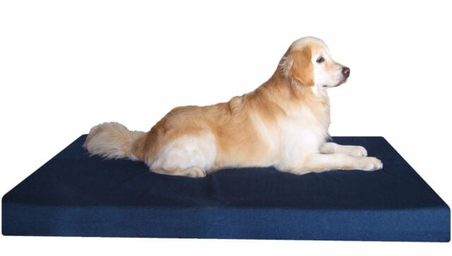 Dogbed4less 1-pack 47"X29"X4" Washable Blue Denim External Replacement Cover Only for Pet Foam Beds