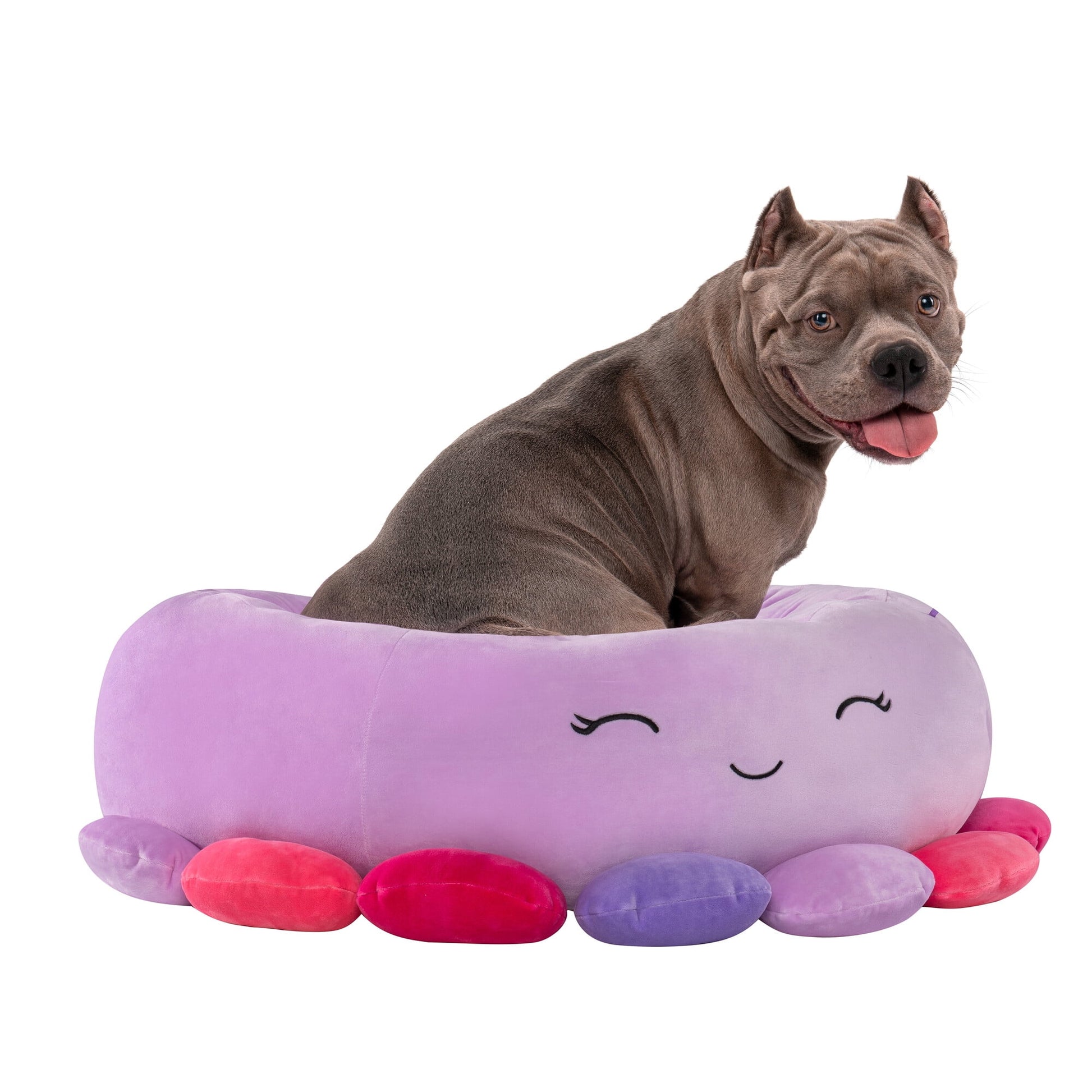 Squishmallows 30 inch Beula Octopus Pet Bed - Large Ultra Soft Plush Pet Bed