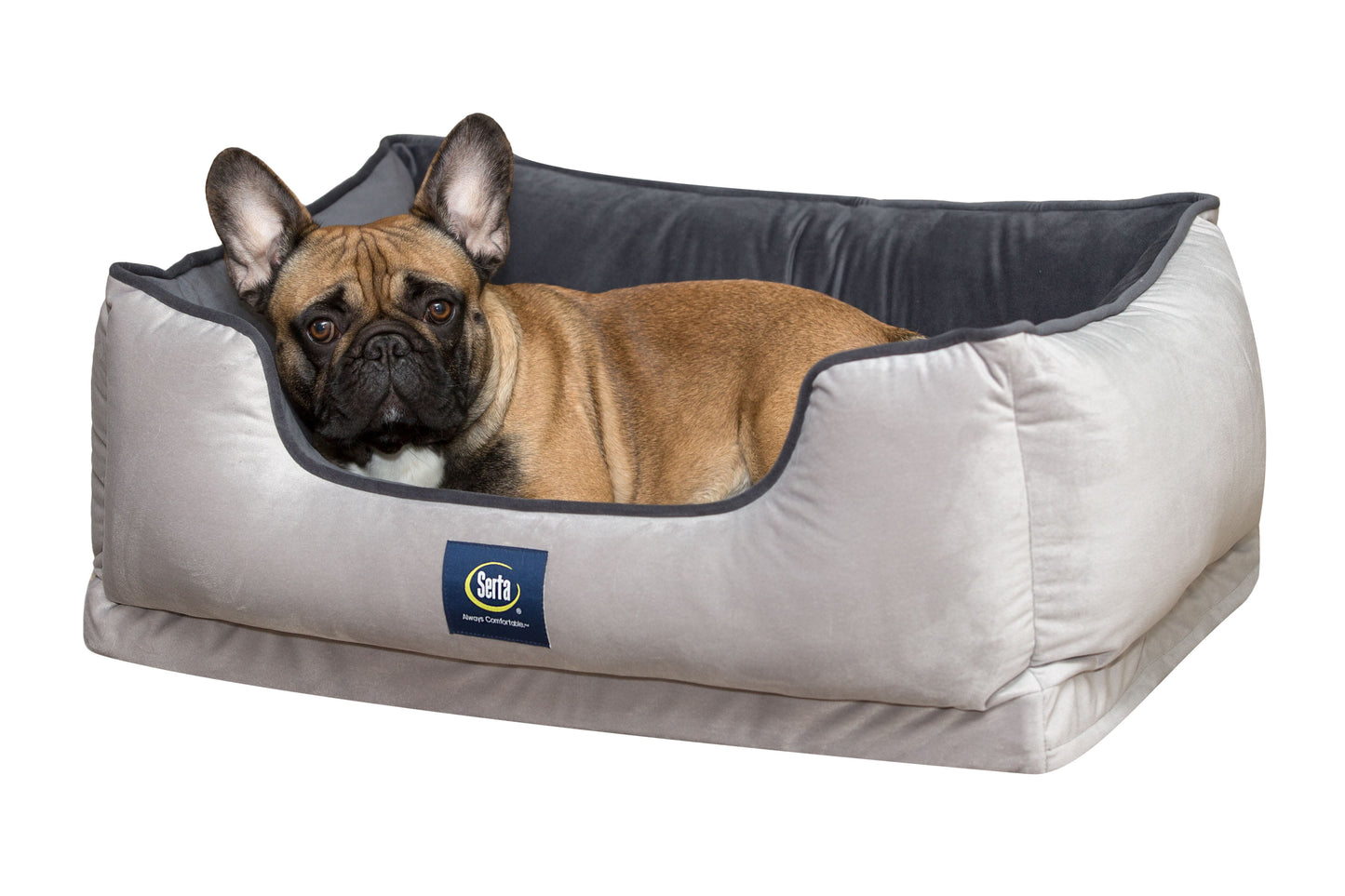 Serta Ortho Cuddler Pet Bed, Large