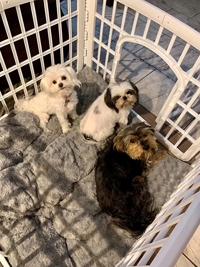 PHYEX Dog Beds for Small Dogs, Self-Warming Cat Bed, Washable Crate Pad with Non-Slip Base 24"x18"