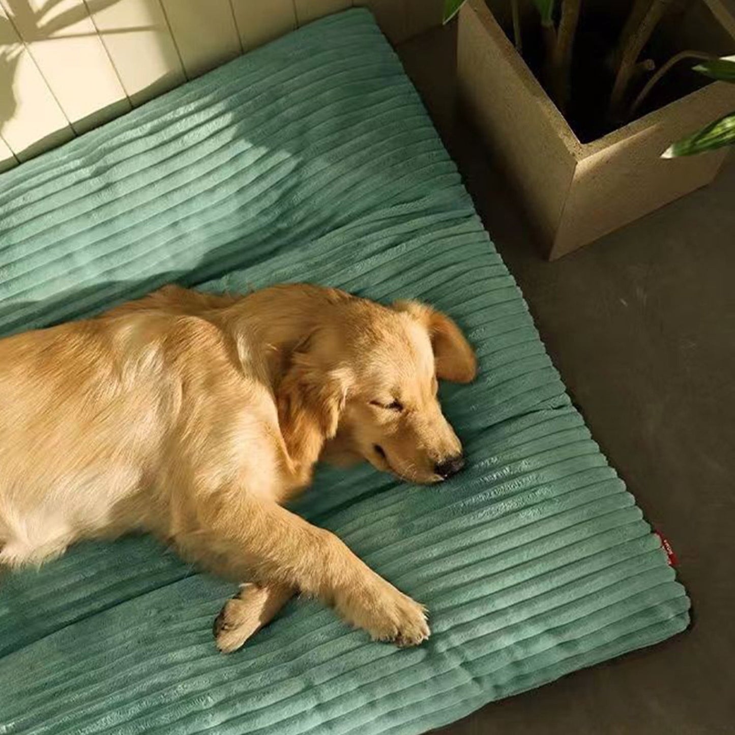 Clearance & Promo, Thickened Warm Dog Kennel, Removable Washable Corduroy Pet Bed for Medium and Large Dogs Discount Bonanza | Cloth, Green, Angeler