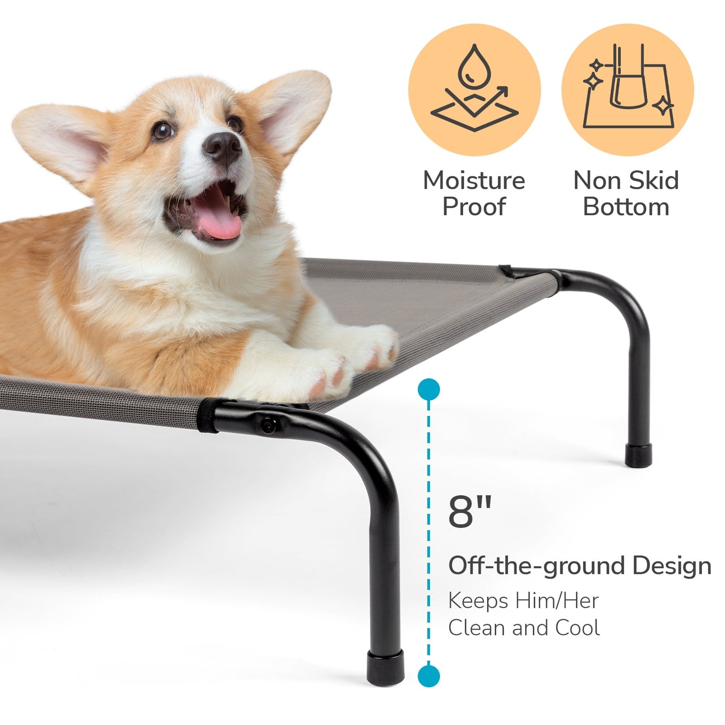 IVV Cooling Elevated Dog Bed with Metal Frame, Large, 50"L x 31"W x 8"H, Gray