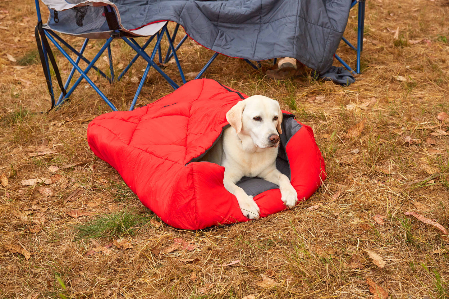 OmniCore Designs Pet Sleeping Bag (SM/Blue) with Zippered Cover for Travel, Camping, Backpacking, Hiking | Good for Small and Large Pets | Use as Pet Beds, Pet Mats or Pet Blanket