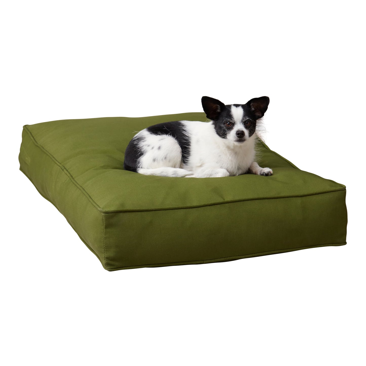 Happy Hounds Casey Indoor/Outdoor Pillow Style Dog Bed, Navy, Large (48 x 36 in.)