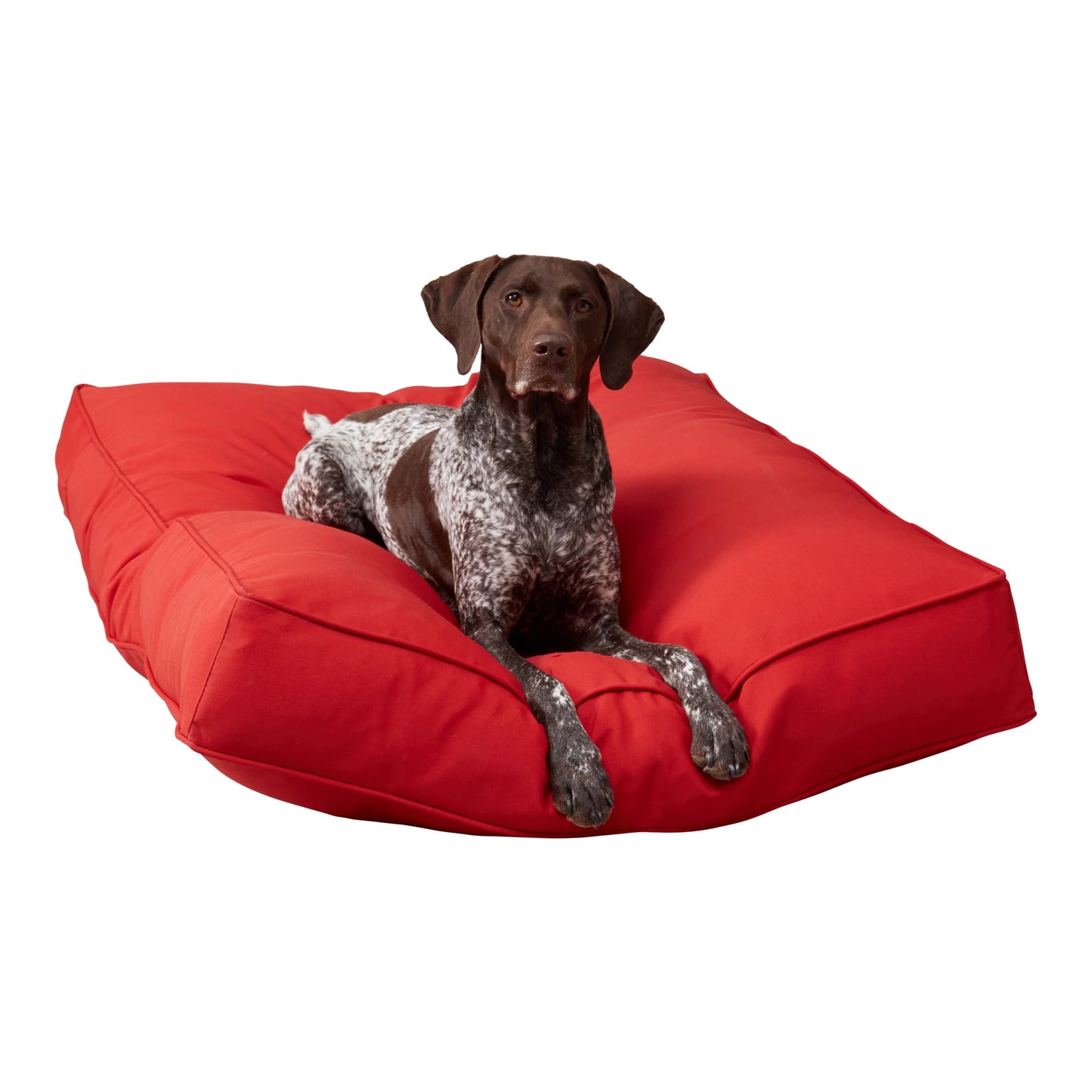 Happy Hounds Casey Indoor/Outdoor Pillow Style Dog Bed, Navy, Large (48 x 36 in.)