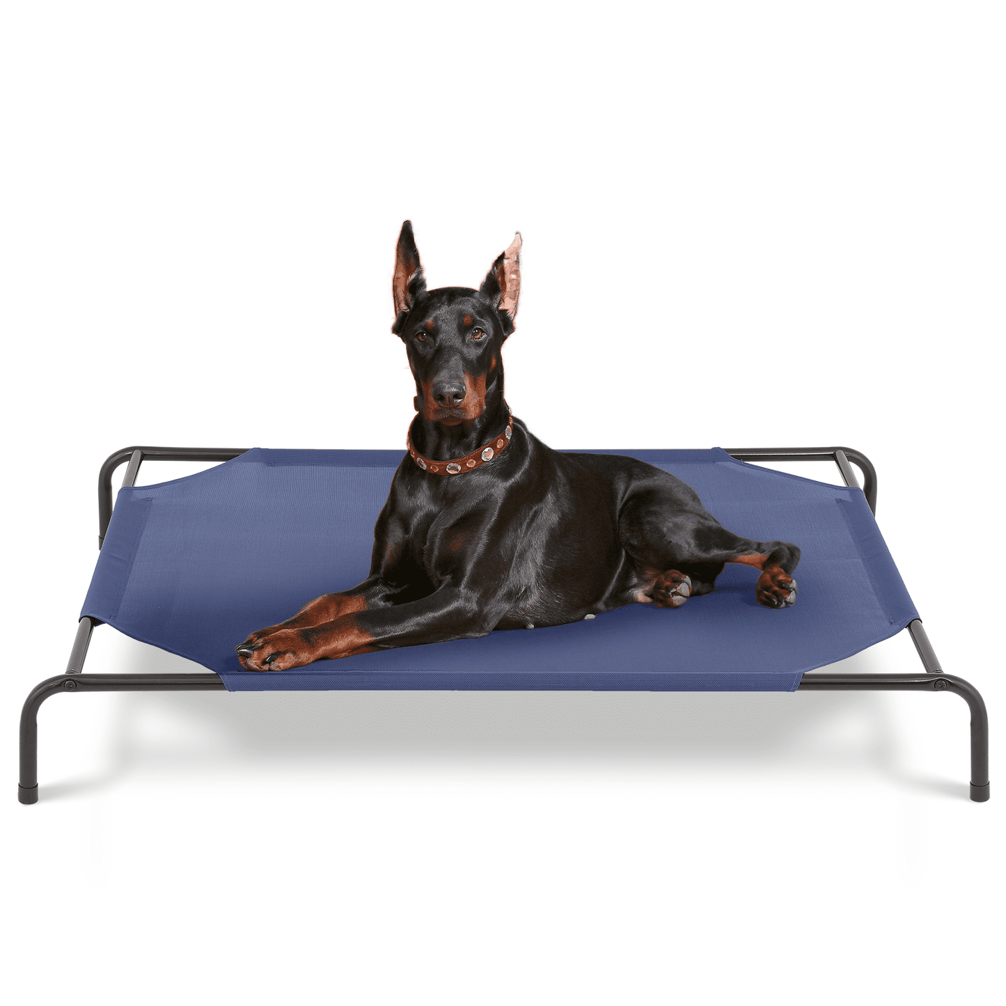 Magshion Elevated Dog Bed, Portable Indoor & Outdoor Pet Hammock Bed, Raised Dog Bed with Breathable Mesh, Light Brown, 49.5"