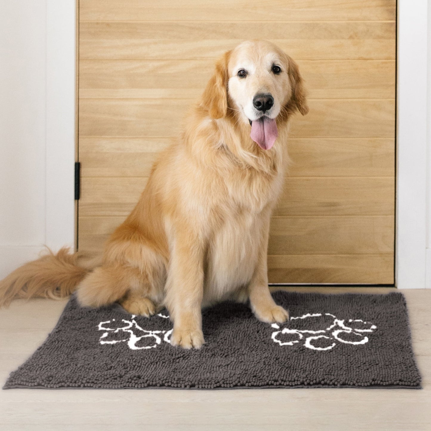 My Doggy Place Dog Mat for Muddy Paws, Washable Dog Door Mat, Ash, M