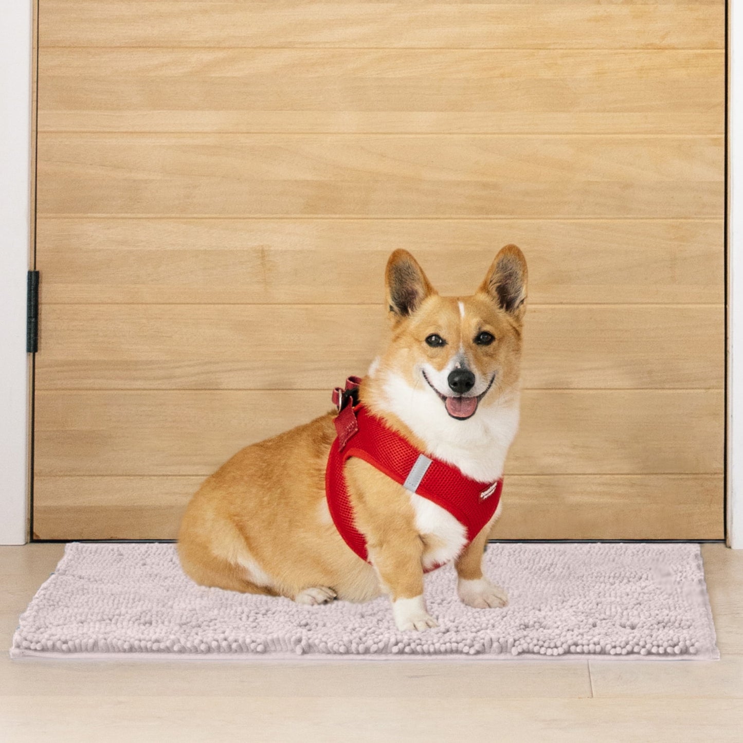 My Doggy Place Dog Mat for Muddy Paws, Washable Dog Door Mat, Ash, M