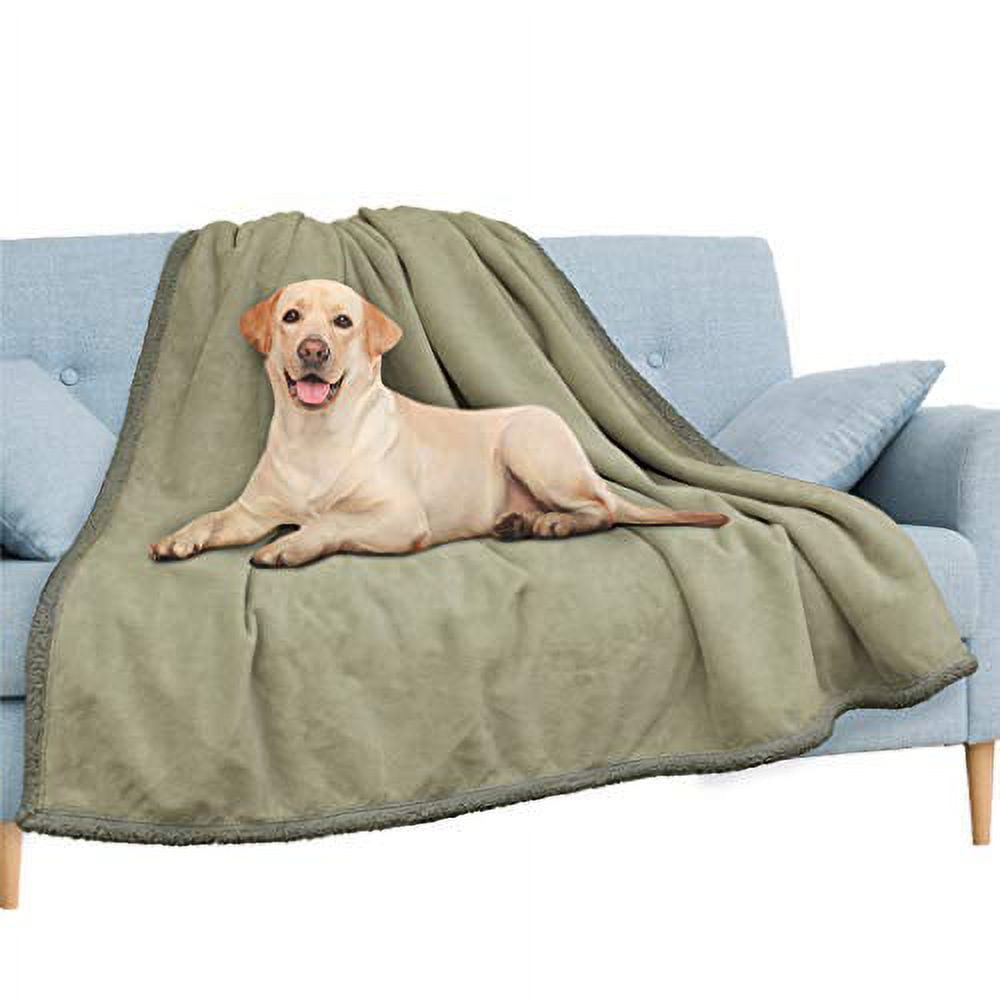 PAVILIA WATERPROOF Blanket For Couch, Sofa | Waterproof Dog Blanket for Large Dog, Puppy, Cat | Pet Blanket Protector | Plush Soft Warm Fuzzy Sherpa Blanket Bed Throw, Brown, 60x80