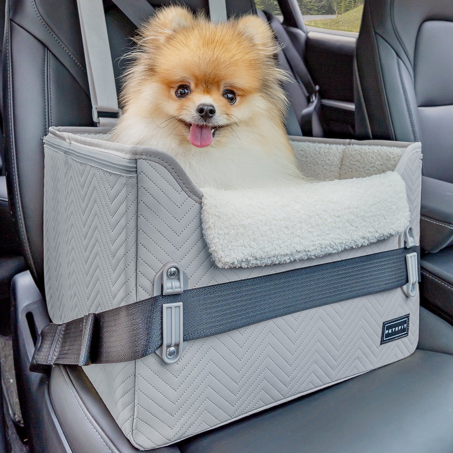 PETSFIT Dog Car Seat, Waterproof PU Leather Dog Carseat with Patent Safe Buckles, Clip-On Leash, Pet Travel Carrier Bed for Small Pets Up to 25lbs (Black)