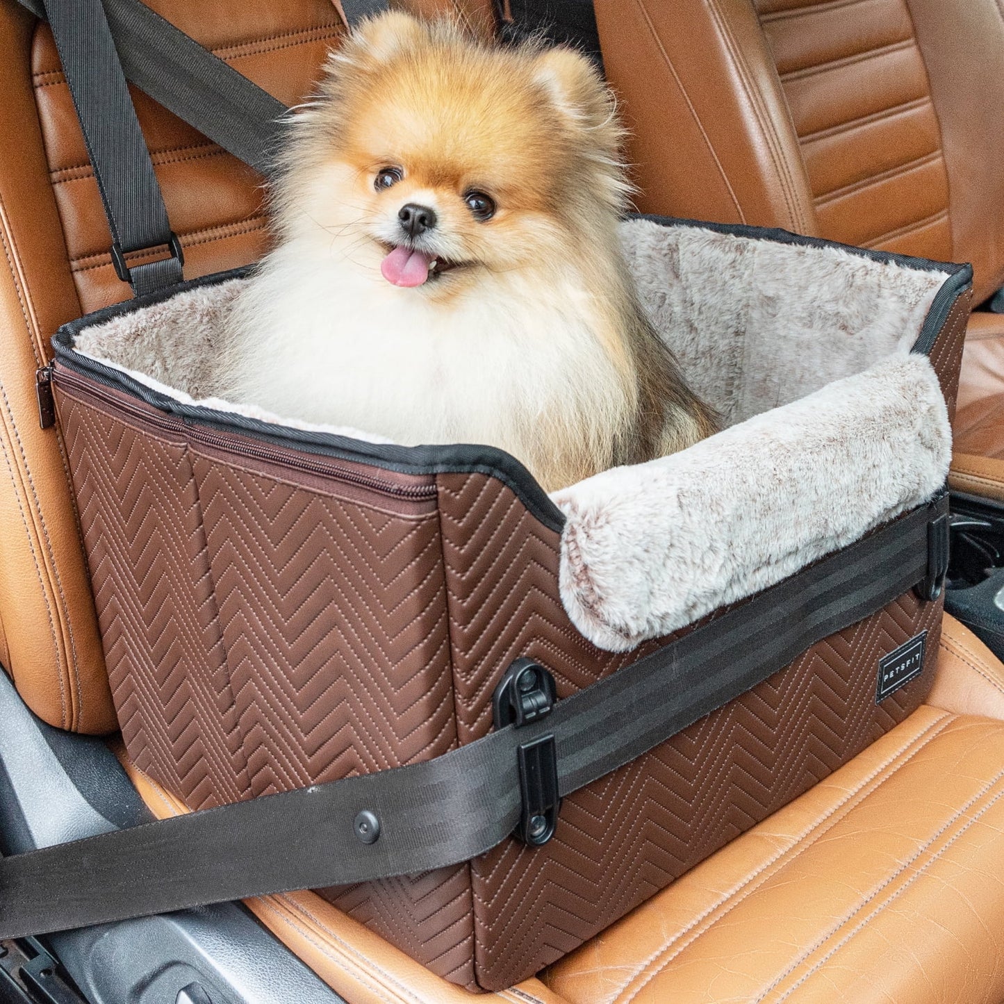 PETSFIT Dog Car Seat, Waterproof PU Leather Dog Carseat with Patent Safe Buckles, Clip-On Leash, Pet Travel Carrier Bed for Small Pets Up to 25lbs (Black)