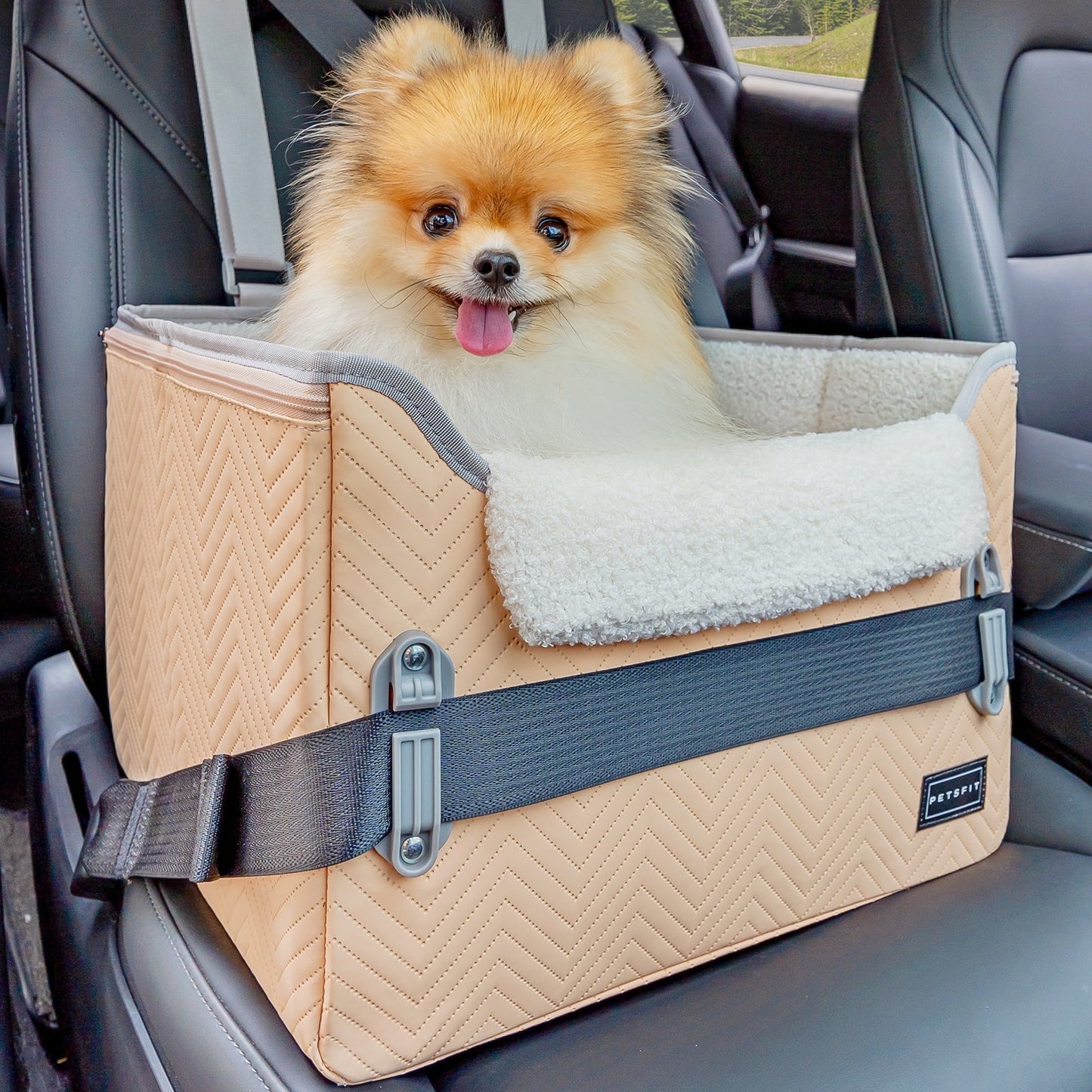 PETSFIT Dog Car Seat, Waterproof PU Leather Dog Carseat with Patent Safe Buckles, Clip-On Leash, Pet Travel Carrier Bed for Small Pets Up to 25lbs (Black)