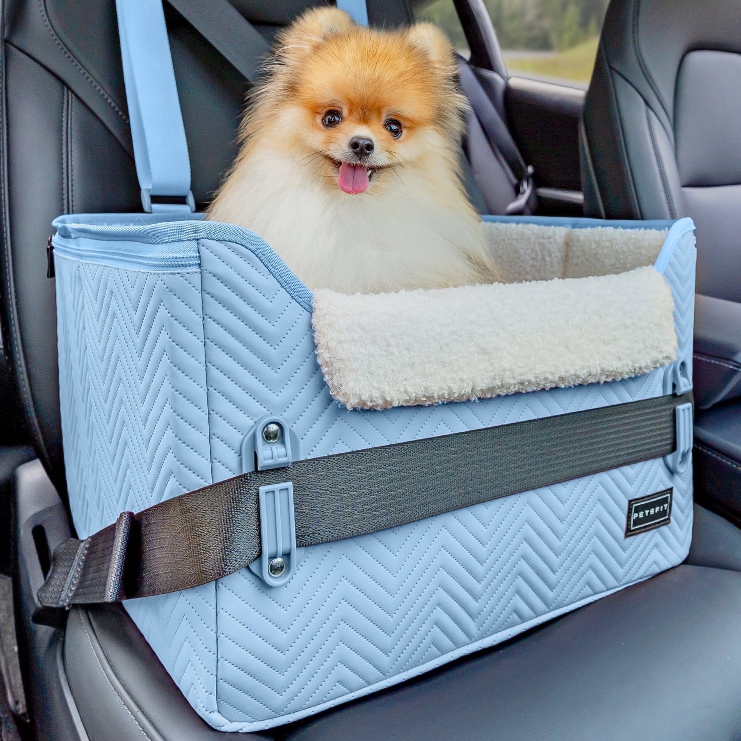PETSFIT Dog Car Seat, Waterproof PU Leather Dog Carseat with Patent Safe Buckles, Clip-On Leash, Pet Travel Carrier Bed for Small Pets Up to 25lbs (Black)