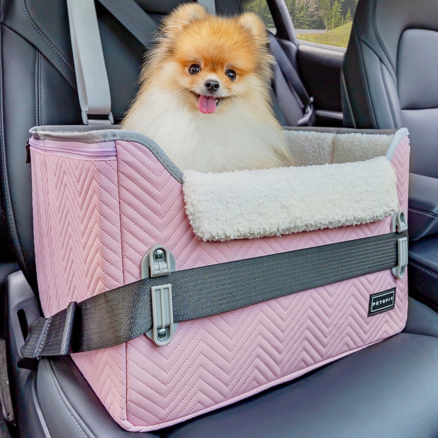 PETSFIT Dog Car Seat, Waterproof PU Leather Dog Carseat with Patent Safe Buckles, Clip-On Leash, Pet Travel Carrier Bed for Small Pets Up to 25lbs (Black)