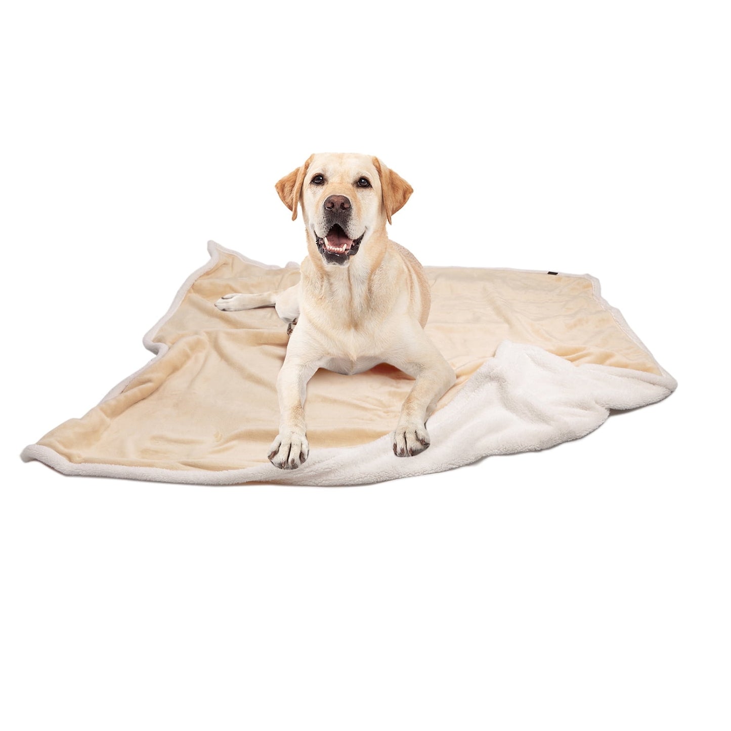 Pawsse Machine Washable Fleece Pet Throw Blanket for Dogs, Cats & Small Pets - Soft Blue Pet Blanket (60"x50")