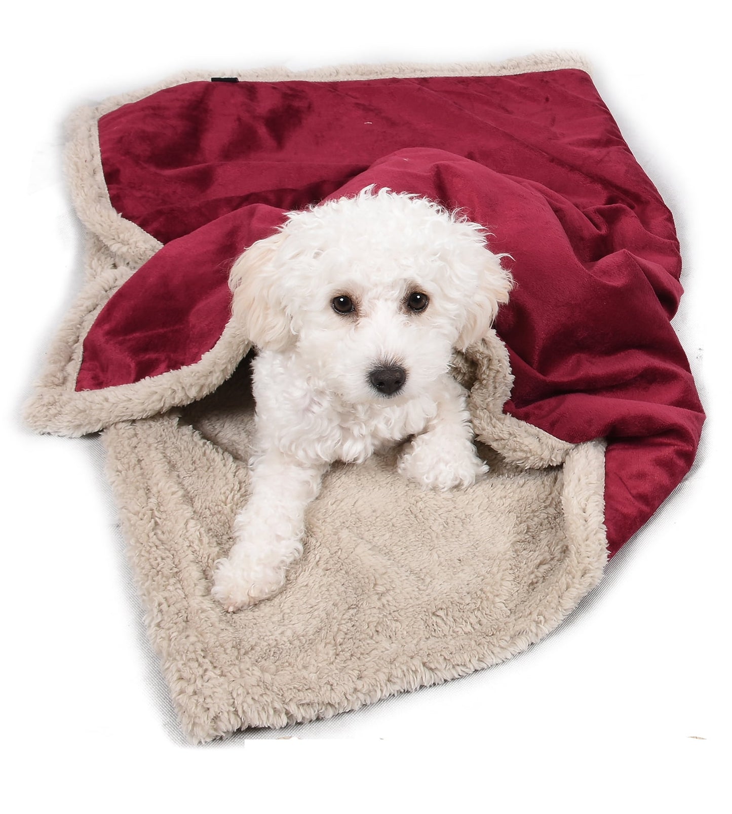 Pawsse Machine Washable Fleece Pet Throw Blanket for Dogs, Cats & Small Pets - Soft Blue Pet Blanket (60"x50")