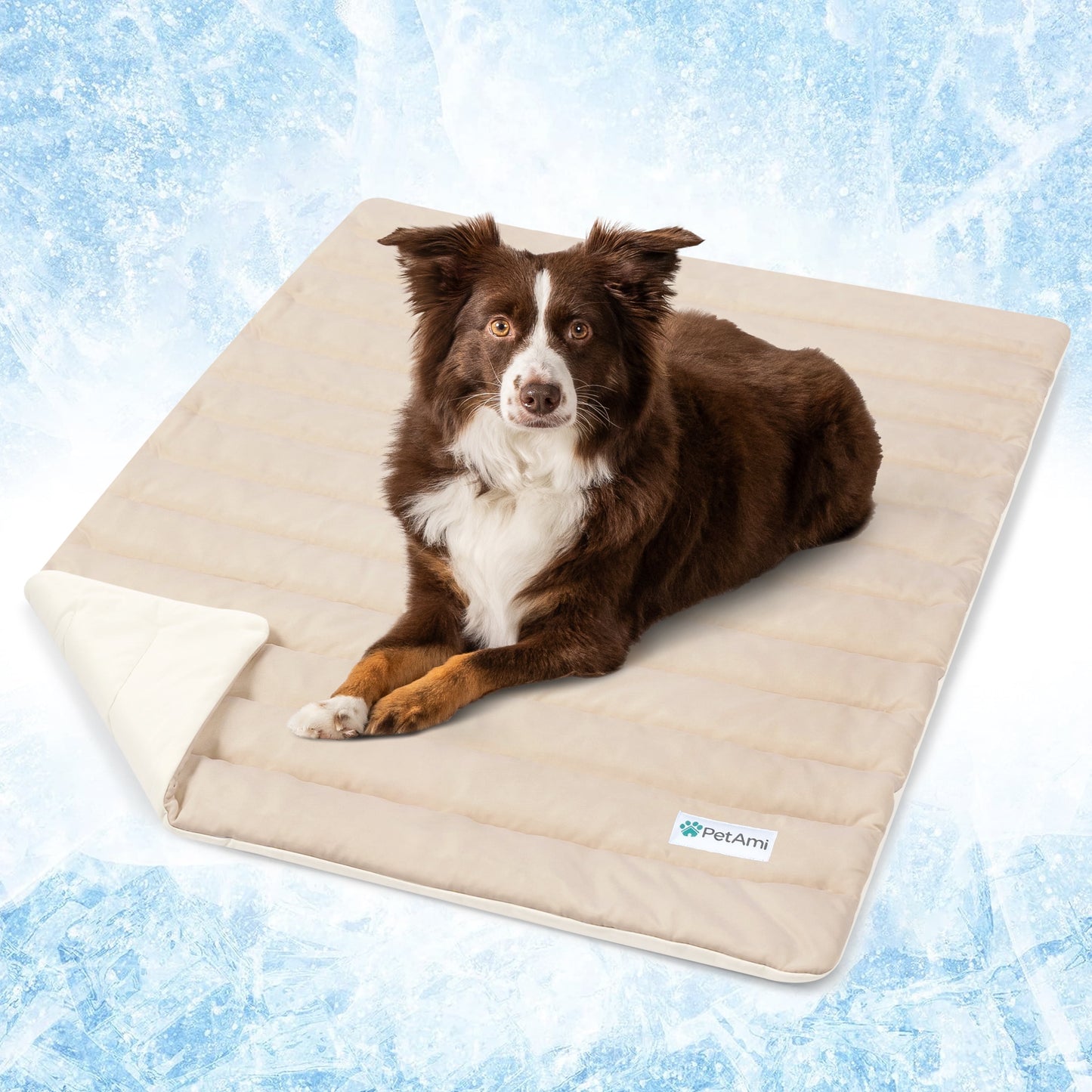 PetAmi Cooling Mat for Dog, Premium Pet Cooling Blanket for Crate Kennel, Indoor Cat Cool Sleeping Pad, Q-MAX Cold Sofa Couch Cover for Summer, Gray/Light Grey, Medium (29x40)