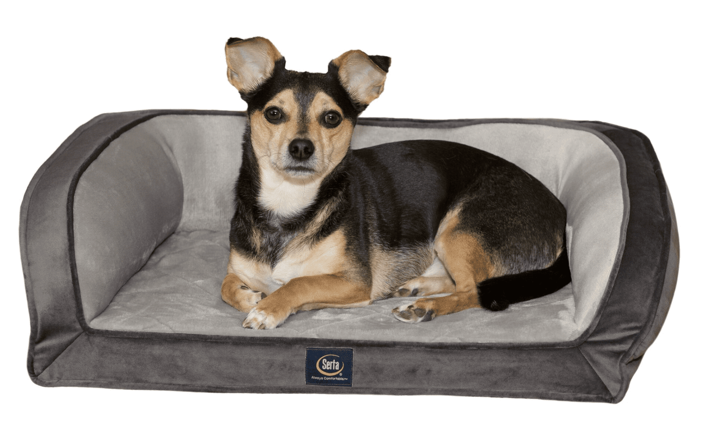 Serta Gel Memory Foam Quilted Ortho Couch Dog Bed, Small Brown