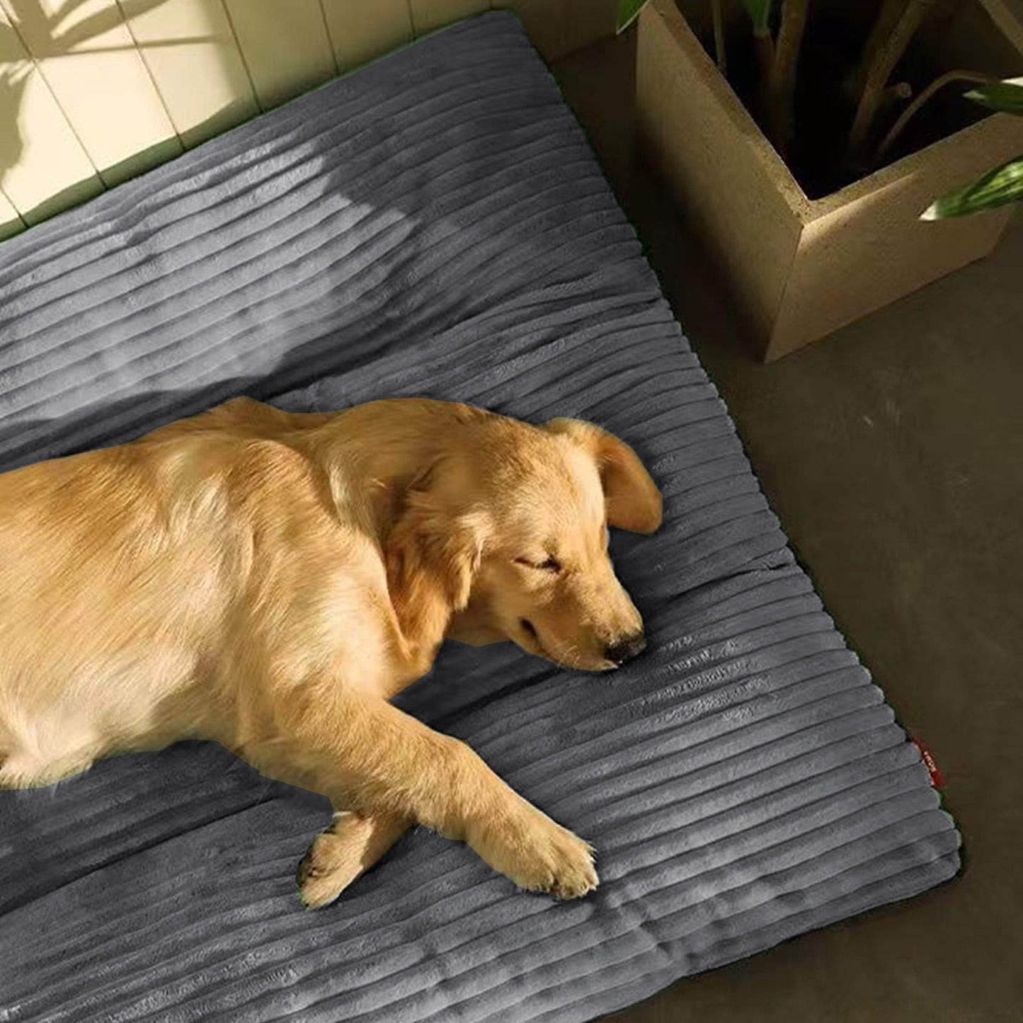 Clearance & Promo, Thickened Warm Dog Kennel, Removable Washable Corduroy Pet Bed for Medium and Large Dogs Discount Bonanza | Cloth, Green, Angeler