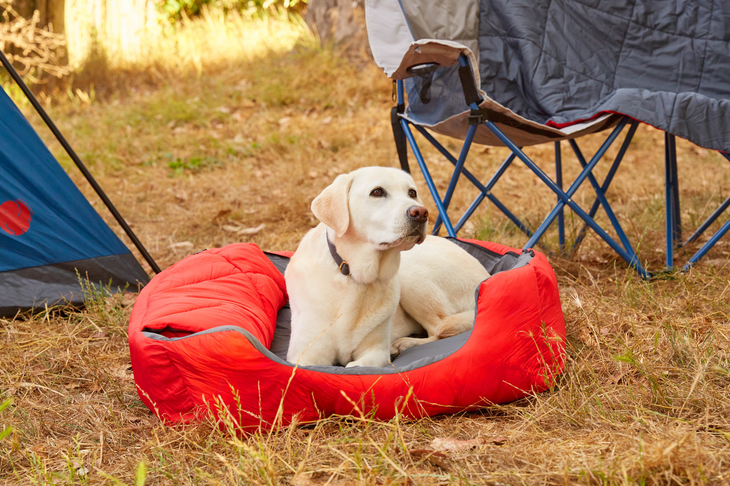 OmniCore Designs Pet Sleeping Bag (SM/Blue) with Zippered Cover for Travel, Camping, Backpacking, Hiking | Good for Small and Large Pets | Use as Pet Beds, Pet Mats or Pet Blanket