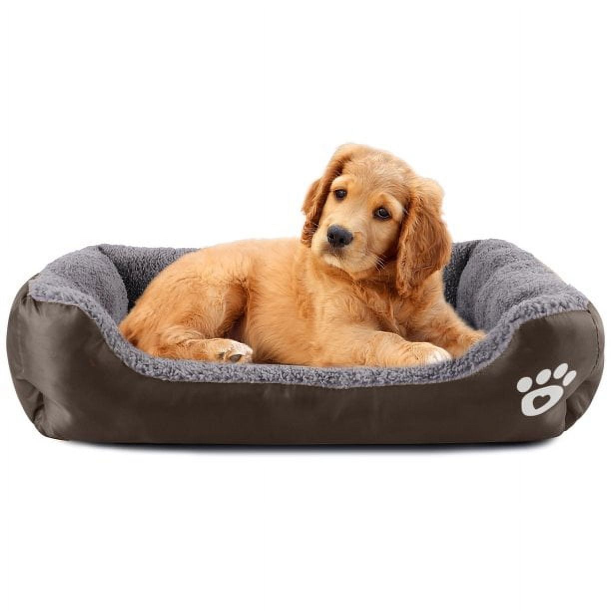 PETIMI Small Dog Beds, Rectangle Washable Pet Bed with Firm Breathable for Cats, Sleeping Orthopedic Small Beds(Brown)
