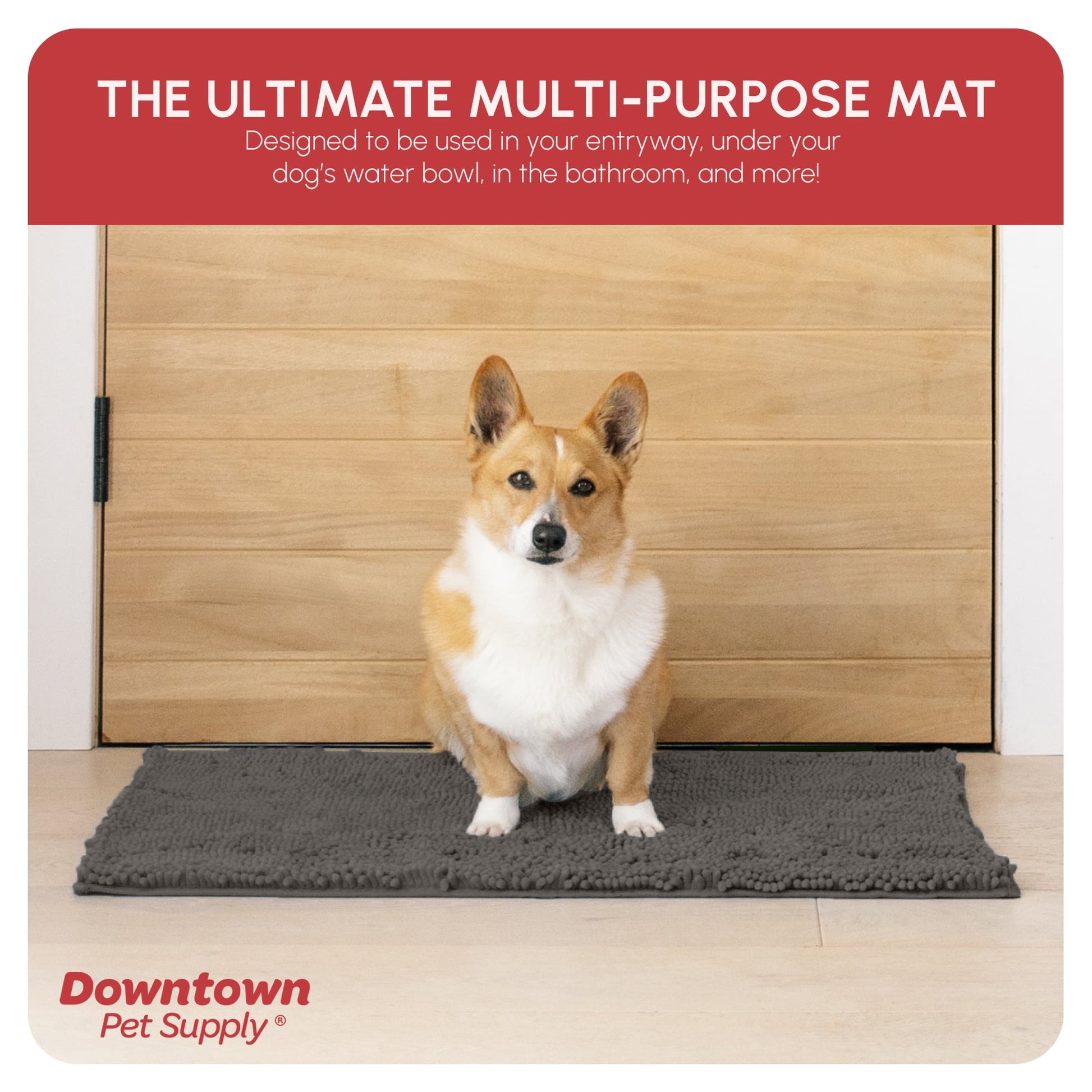 My Doggy Place Dog Mat for Muddy Paws, Washable Dog Door Mat, Ash, M