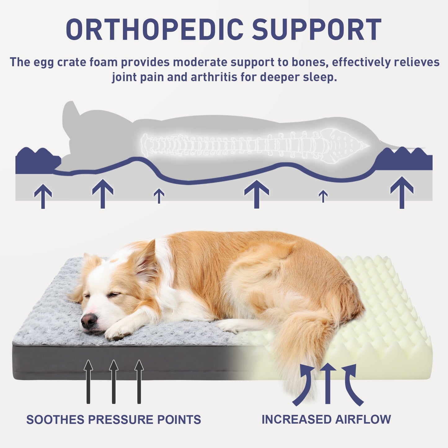 Waterproof Dog Beds for Crates 36" Washable Removable Cover Dog Kennel Pad for Large Dogs