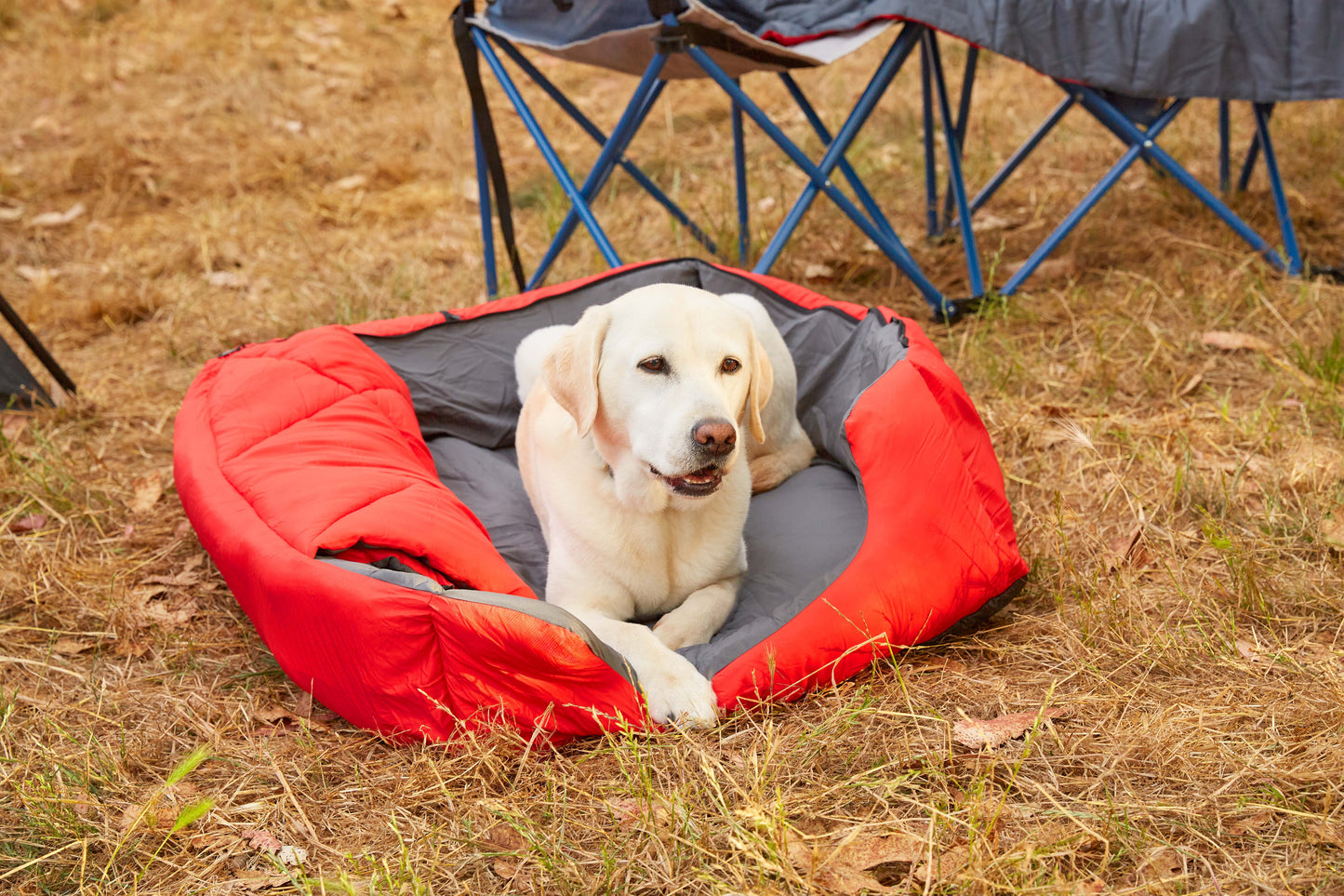 OmniCore Designs Pet Sleeping Bag (SM/Blue) with Zippered Cover for Travel, Camping, Backpacking, Hiking | Good for Small and Large Pets | Use as Pet Beds, Pet Mats or Pet Blanket