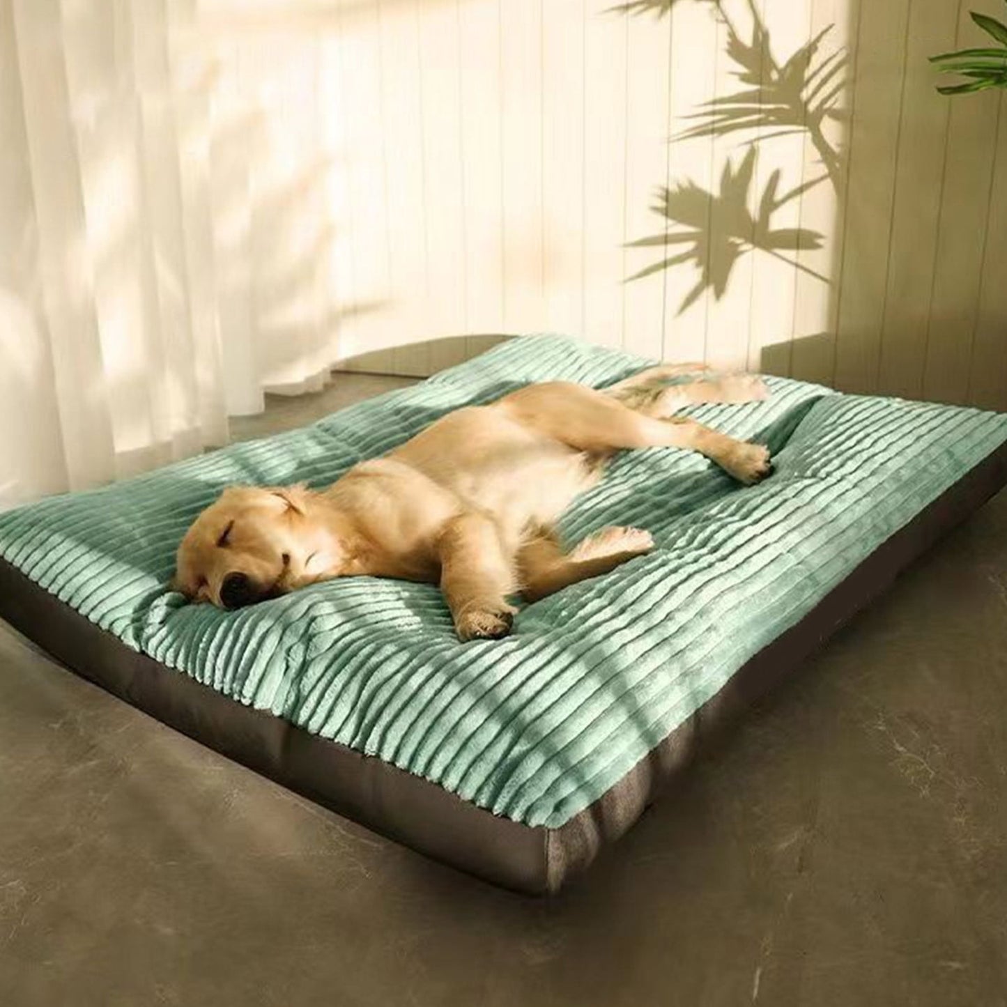 Clearance & Promo, Thickened Warm Dog Kennel, Removable Washable Corduroy Pet Bed for Medium and Large Dogs Discount Bonanza | Cloth, Green, Angeler
