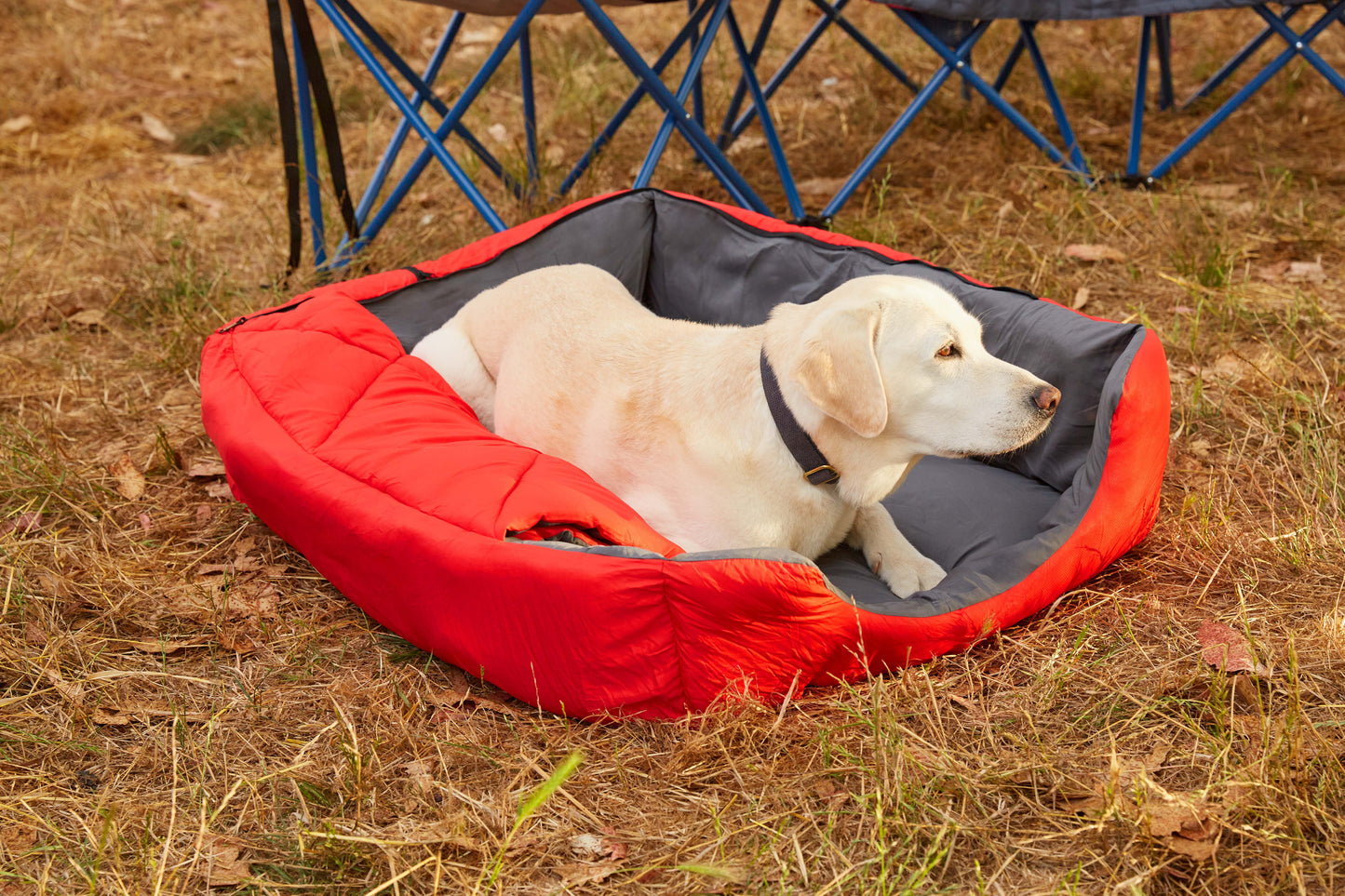 OmniCore Designs Pet Sleeping Bag (SM/Blue) with Zippered Cover for Travel, Camping, Backpacking, Hiking | Good for Small and Large Pets | Use as Pet Beds, Pet Mats or Pet Blanket