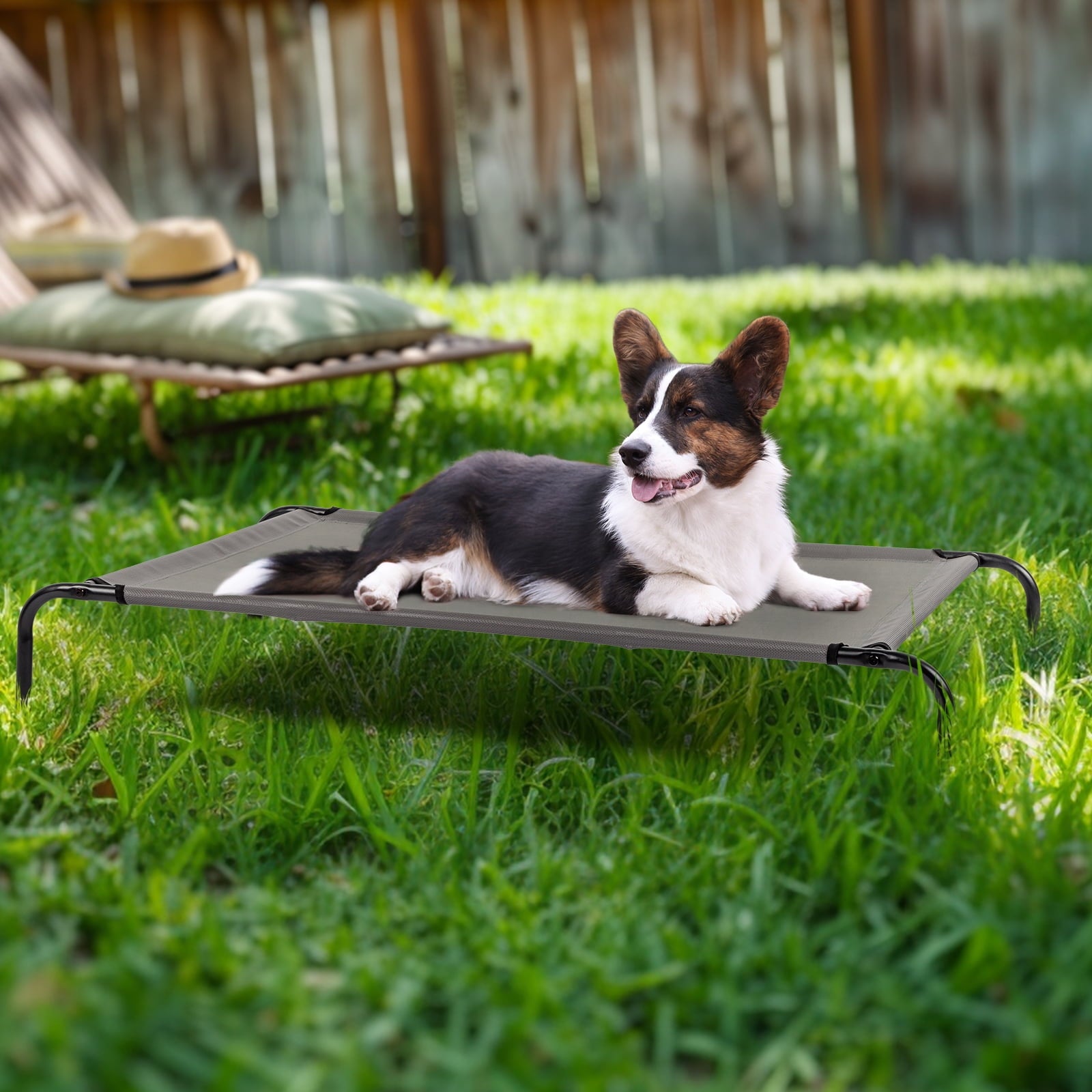 IVV Cooling Elevated Dog Bed with Metal Frame, Large, 50"L x 31"W x 8"H, Gray