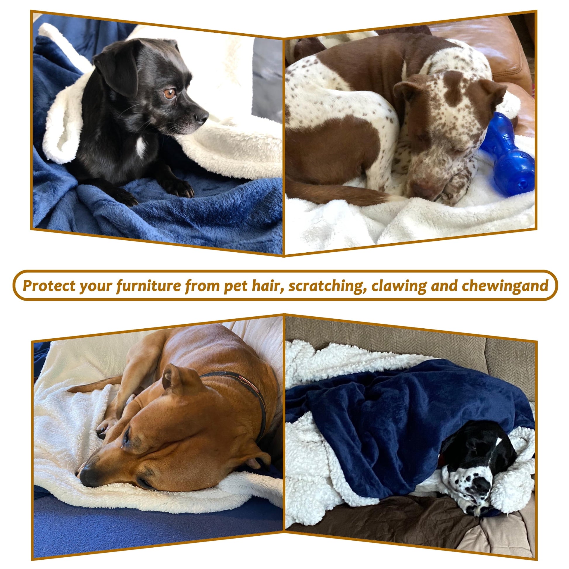 Pawsse Machine Washable Fleece Pet Throw Blanket for Dogs, Cats & Small Pets - Soft Blue Pet Blanket (60"x50")