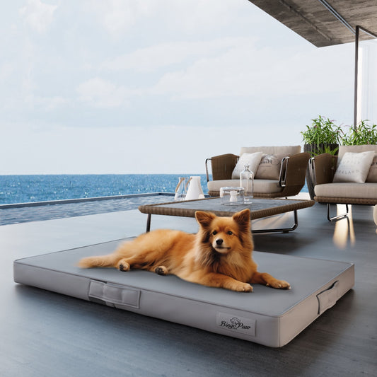 BingoPaw Foldable Breathable 3D Mesh Mattress Dog Bed, Wear-resistant Washable Removable Cover, Large