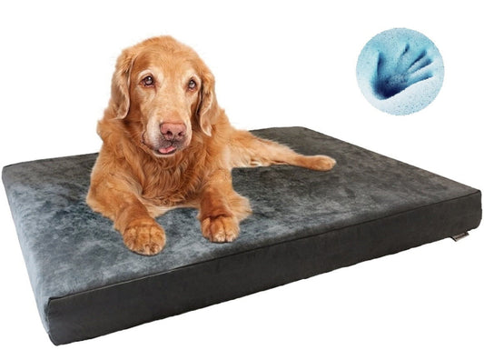 Dogbed4less Orthopedic Memory Foam Dog Mattress, Waterproof Microsuede Gray Cover, XL, 47"x29"x4"