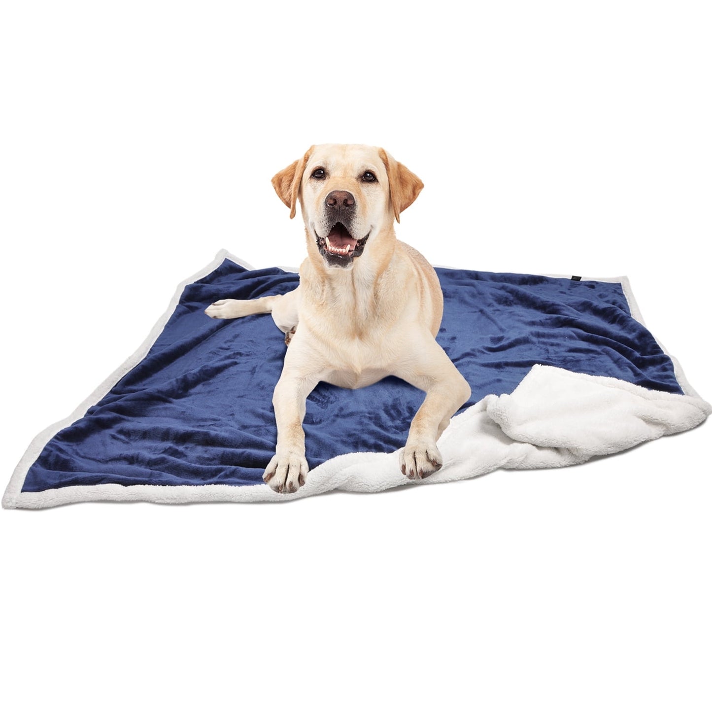 Pawsse Machine Washable Fleece Pet Throw Blanket for Dogs, Cats & Small Pets - Soft Blue Pet Blanket (60"x50")