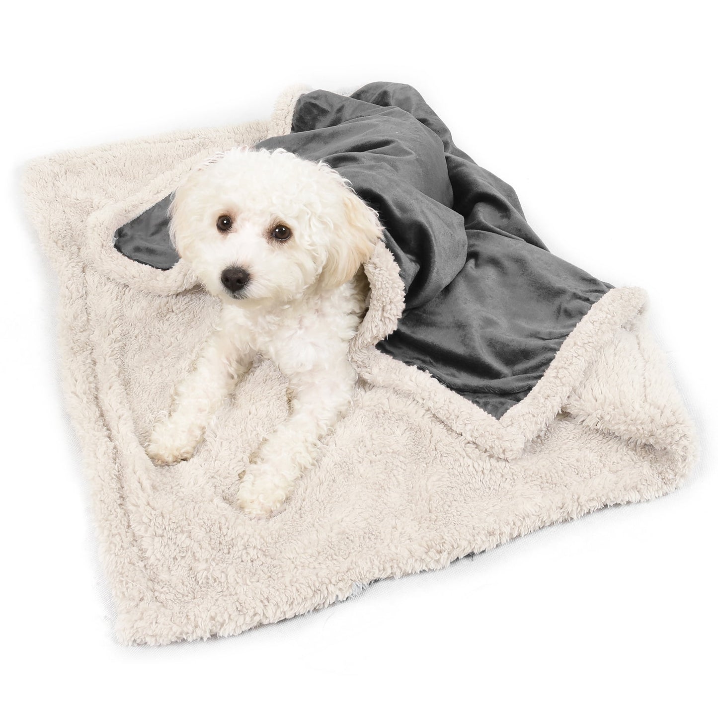 Pawsse Machine Washable Fleece Pet Throw Blanket for Dogs, Cats & Small Pets - Soft Blue Pet Blanket (60"x50")