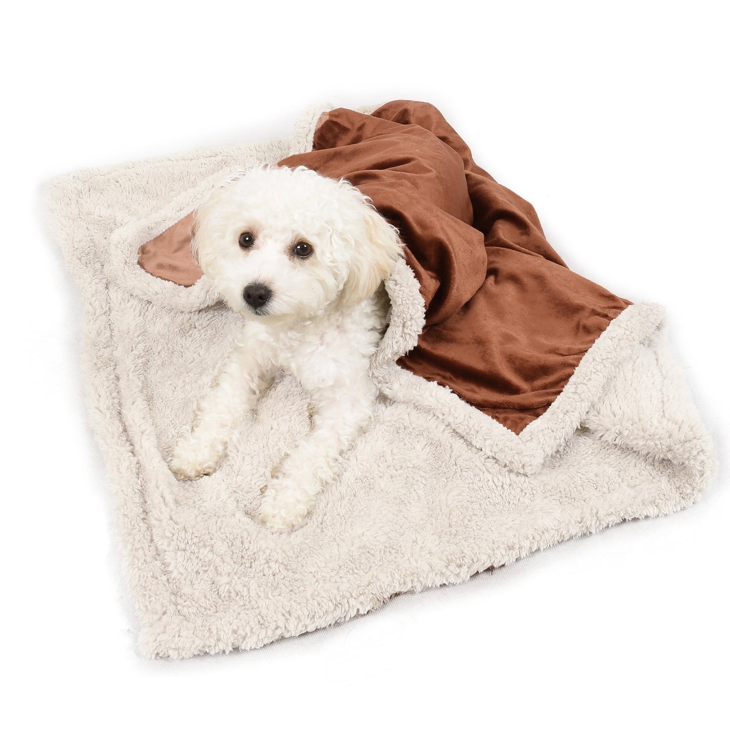 Pawsse Machine Washable Fleece Pet Throw Blanket for Dogs, Cats & Small Pets - Soft Blue Pet Blanket (60"x50")