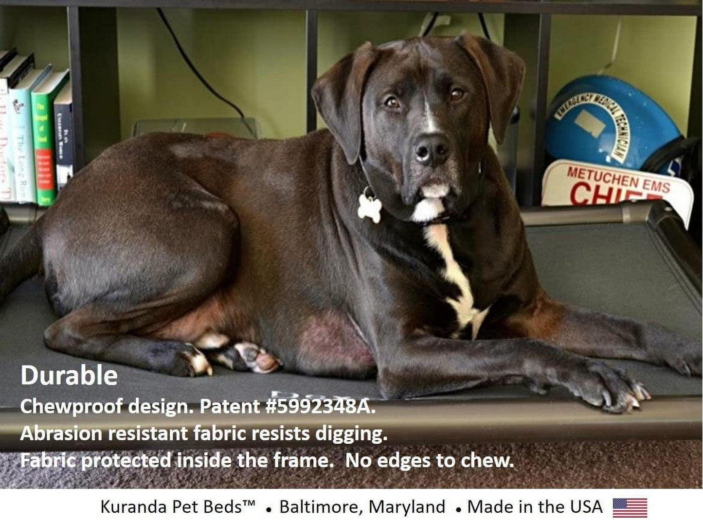 Kuranda Orthopedic Chewproof Elevated Dog Bed - Outdoor - Almond PVC Frame - Ballistic Nylon Fabric